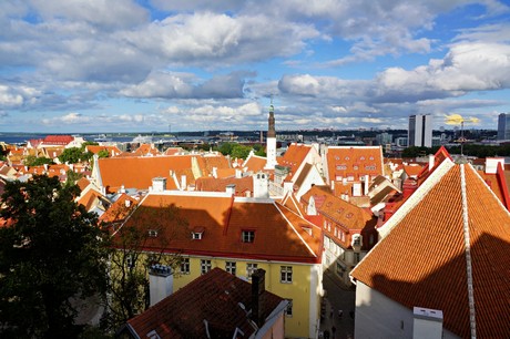 Tallinn