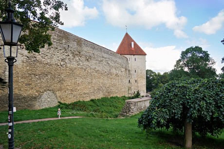 Tallinn