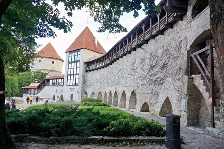 Tallinn