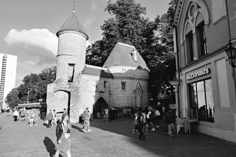 Tallinn