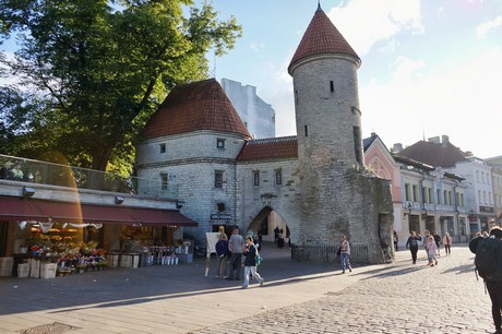 Tallinn