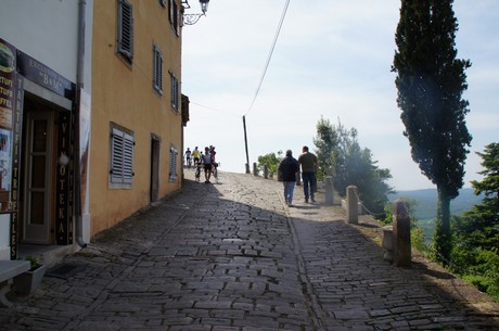 motovun