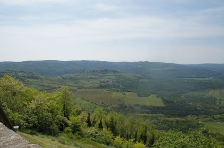 motovun
