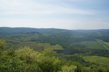 motovun