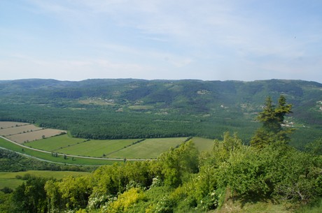 motovun