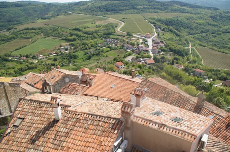 motovun