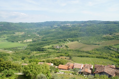 motovun