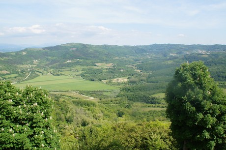 motovun