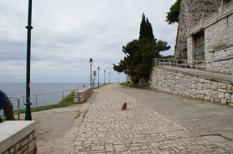 rovinj