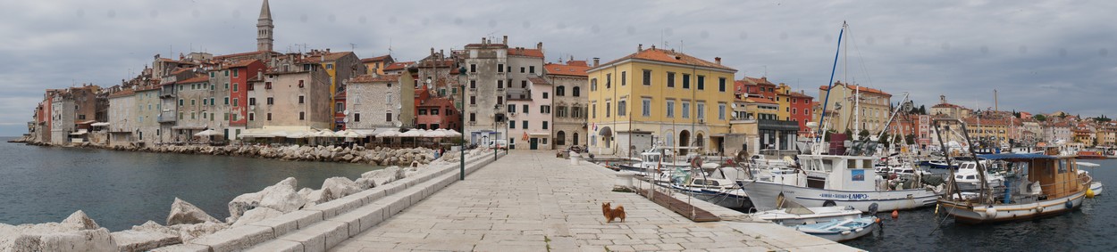 Rovinj