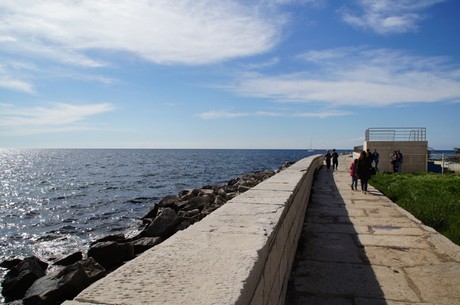 umag