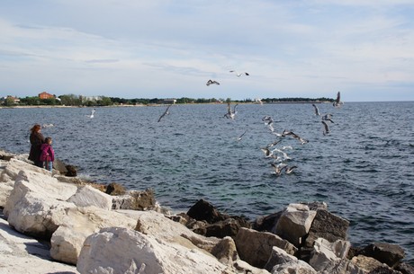 umag