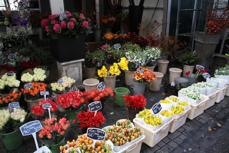blumenmarkt