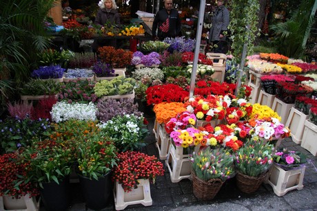 blumenmarkt
