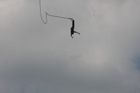 bungy