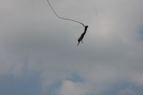 bungy