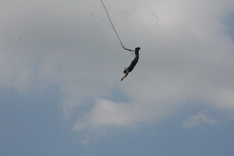 bungy