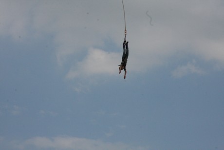 bungy