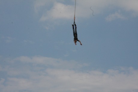 bungy