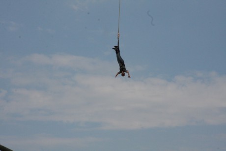 bungy