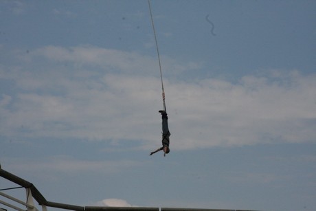 bungy