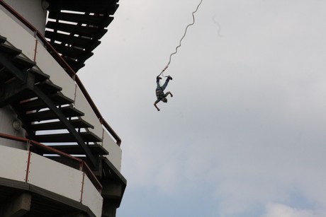 bungy