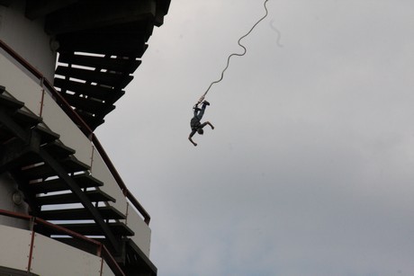bungy