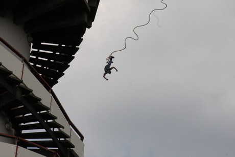 bungy