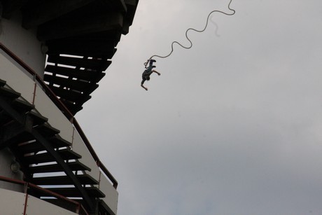bungy