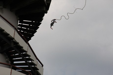 bungy