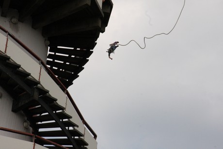 bungy