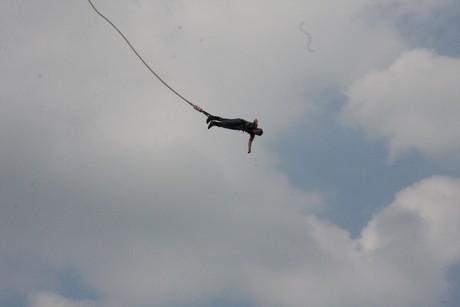 bungy