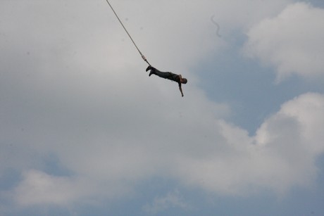 bungy