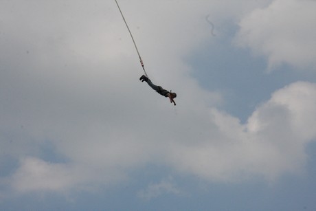 bungy
