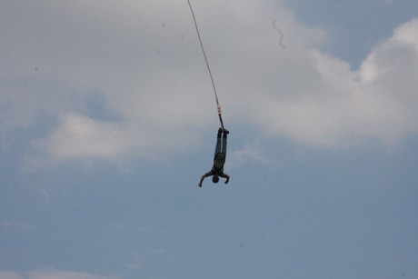 bungy