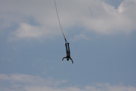 bungy