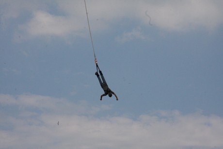 bungy