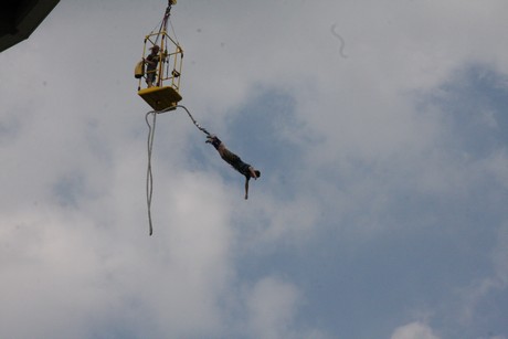 bungy