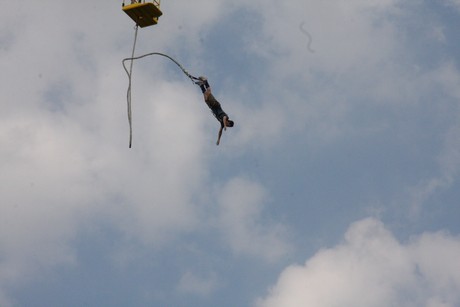 bungy