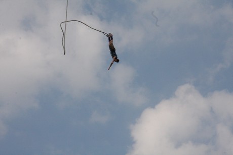 bungy