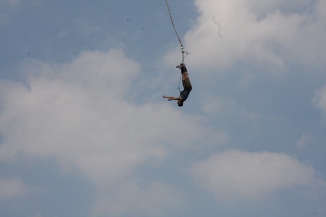 bungy