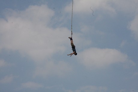 bungy