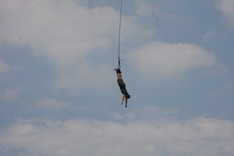bungy