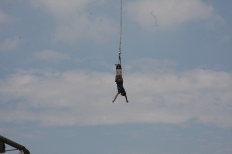 bungy