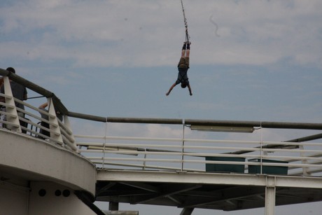 bungy