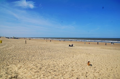 noordwijk