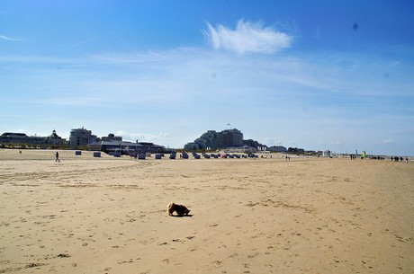 noordwijk