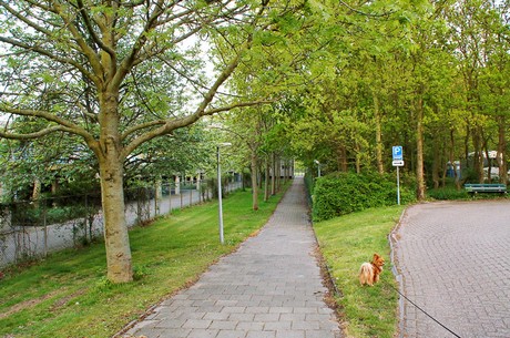 Noordwijkerhout