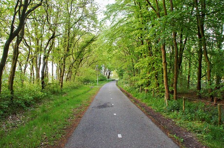 Noordwijkerhout