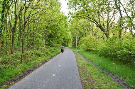 Noordwijkerhout